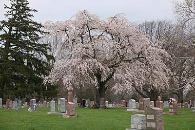 Dayton Memorial Park Cemetery in Dayton, Ohio